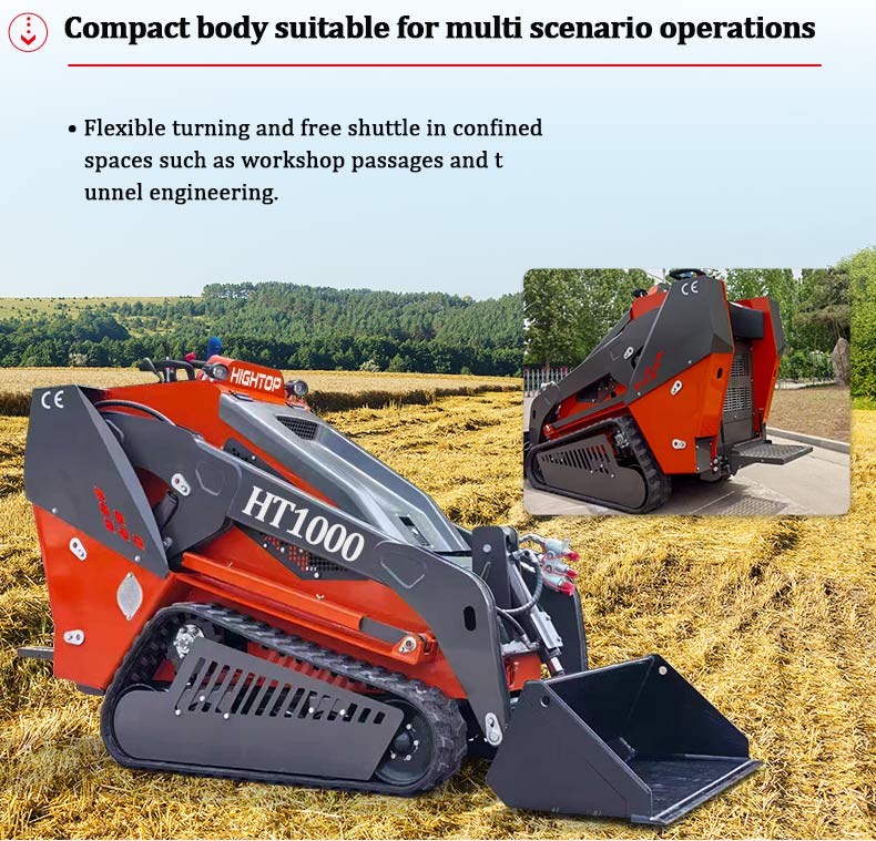 1762997919238367.jpg Cargadora compacta HT1000