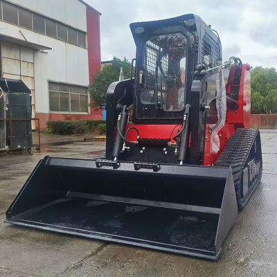 Cargadora compacta HTS100