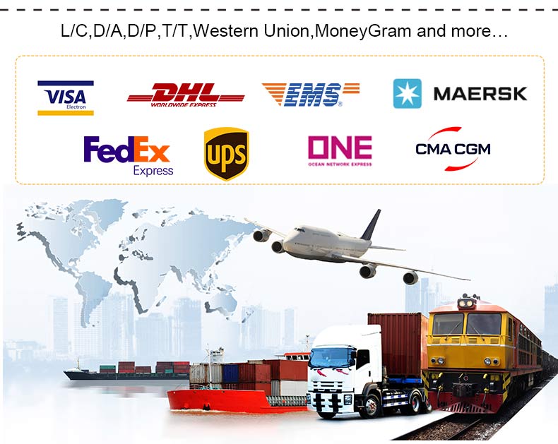 1762998026712297.jpg Cargadora compacta HT1000